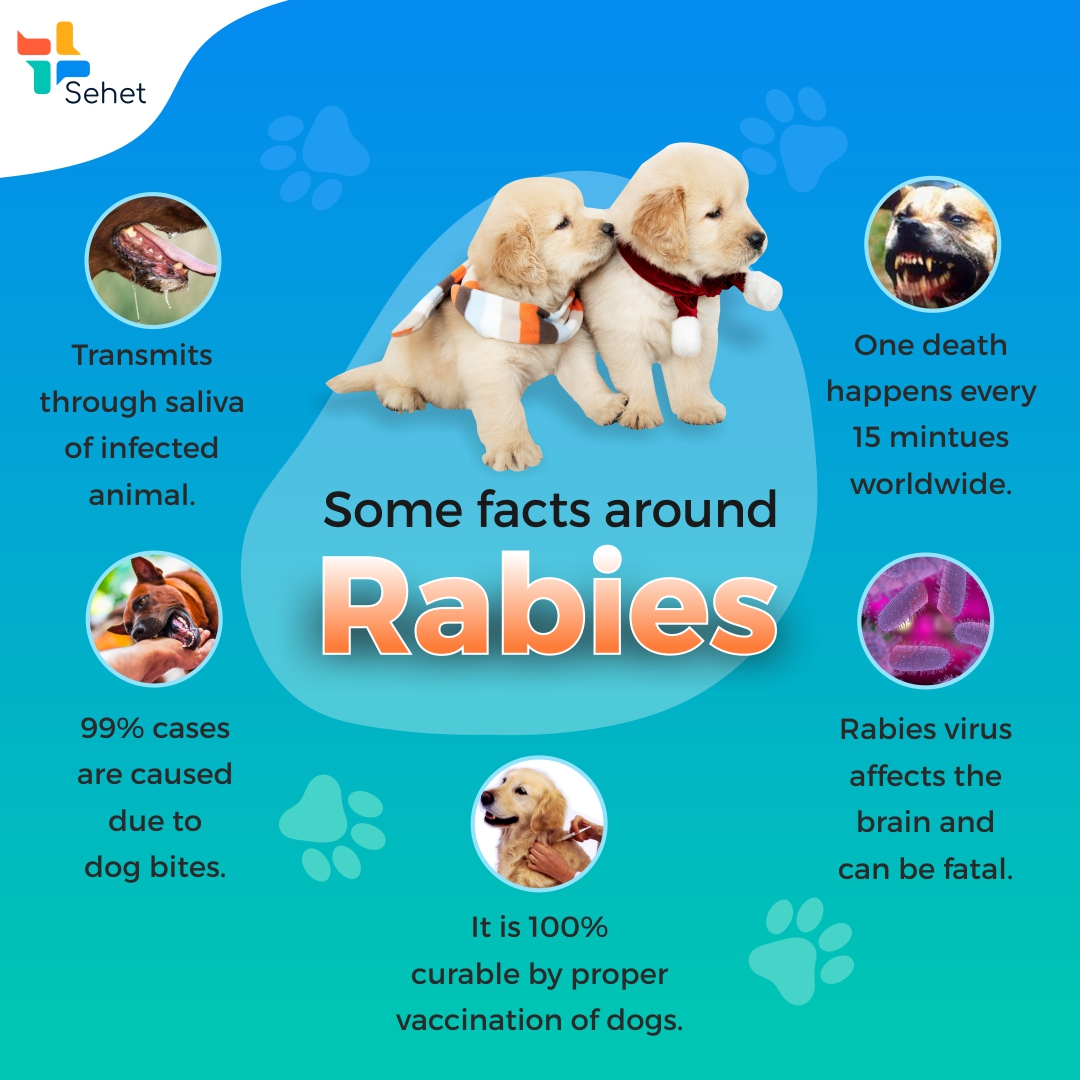Rabies_facts